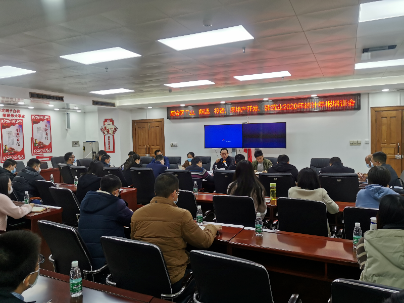 2020年工业、能源、投资、房地产开发和建筑业统计年报培训会议_1