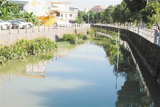 2021001总413）0104长效呵护绿水青山！圭峰会城用了这一招......_5