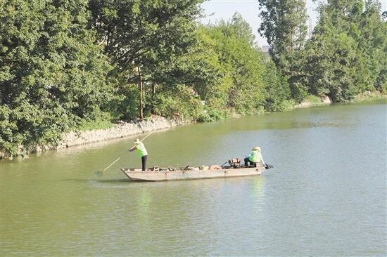 2021001总413）0104长效呵护绿水青山！圭峰会城用了这一招......_7