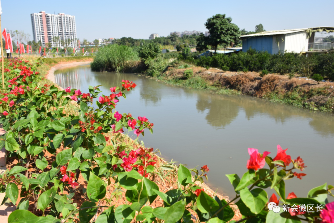 2021007总419）0223水清岸绿、鸟语花香，如今的英洲海水道……_4