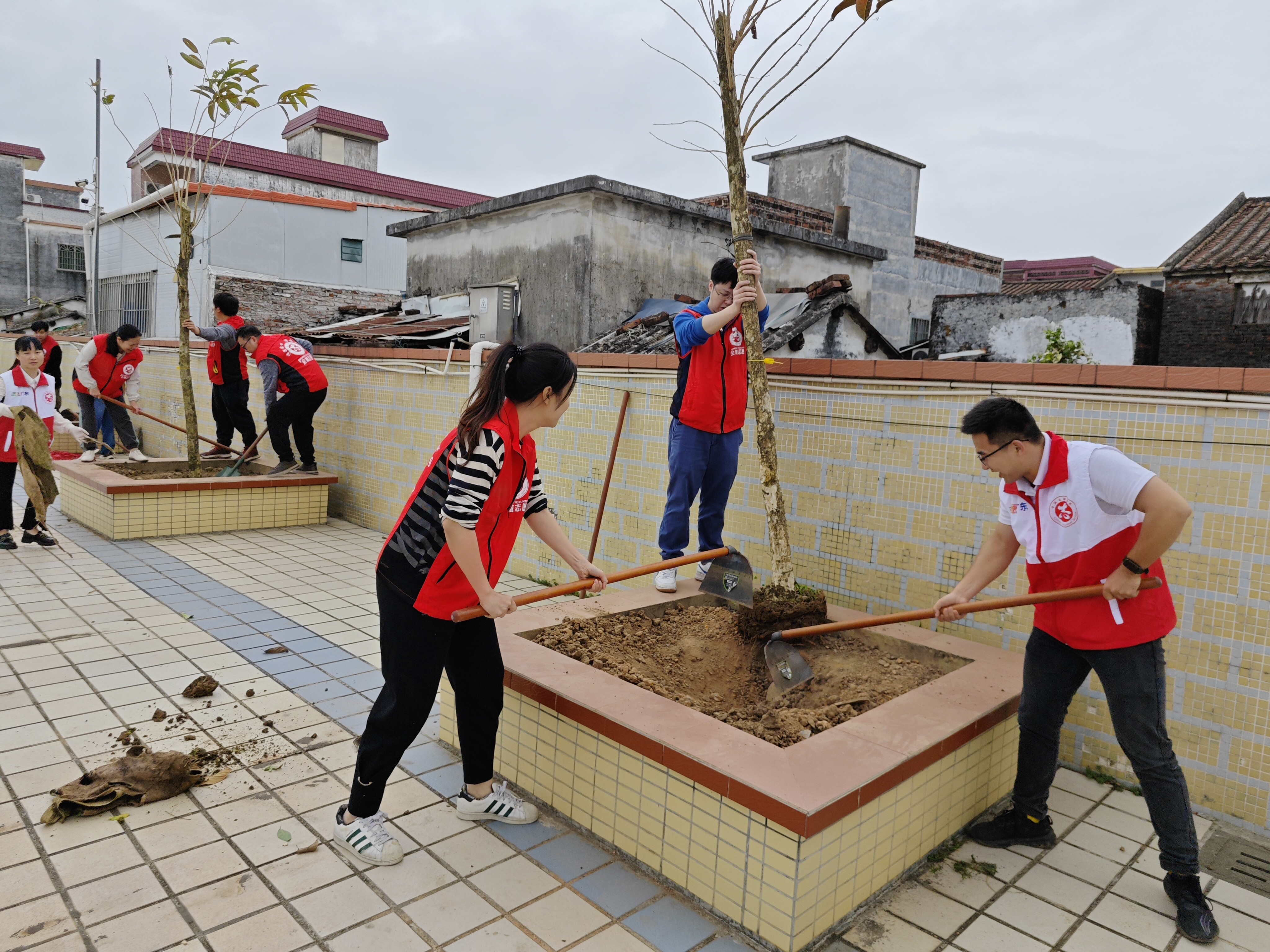 2.19推进绿美新会生态建设 营造爱绿护绿良好氛围——区统计局义工队到大鳌镇开展“五个一百”共建行动.doc_3