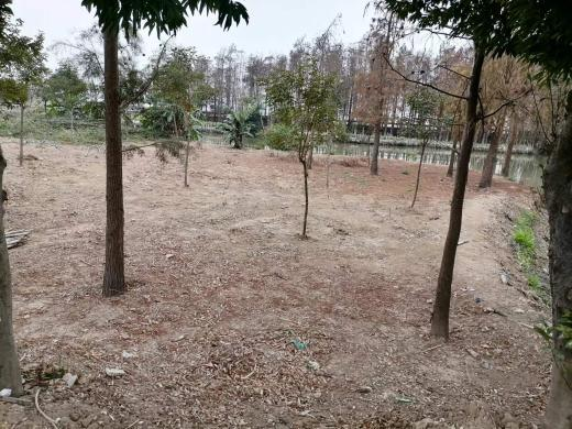 河长制简报（2024008总519）0409 迎接“大桥经济”  绿美水岸建设再掀新高潮.doc_14