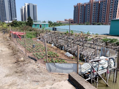 河长制简报（2024008总519）0409 迎接“大桥经济”  绿美水岸建设再掀新高潮.doc_4