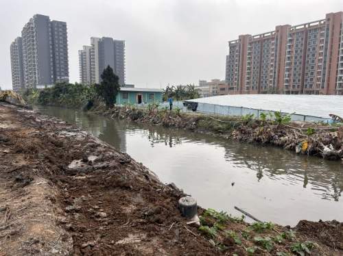 河长制简报（2024008总519）0409 迎接“大桥经济”  绿美水岸建设再掀新高潮.doc_5