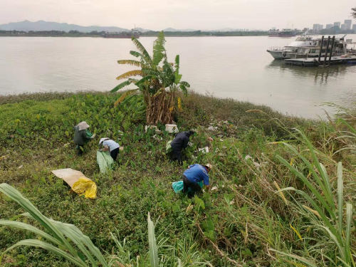 河长制简报（2024008总519）0409 迎接“大桥经济”  绿美水岸建设再掀新高潮.doc_8