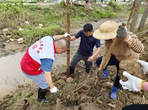 河长制简报（2024008总519）0409 迎接“大桥经济”  绿美水岸建设再掀新高潮.doc_13