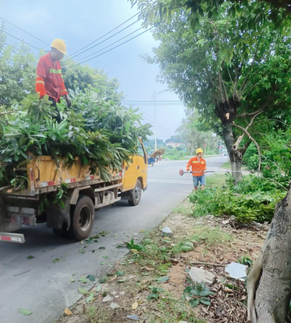 图6:9月4日上午,道路养护人员在修剪路树.jpg