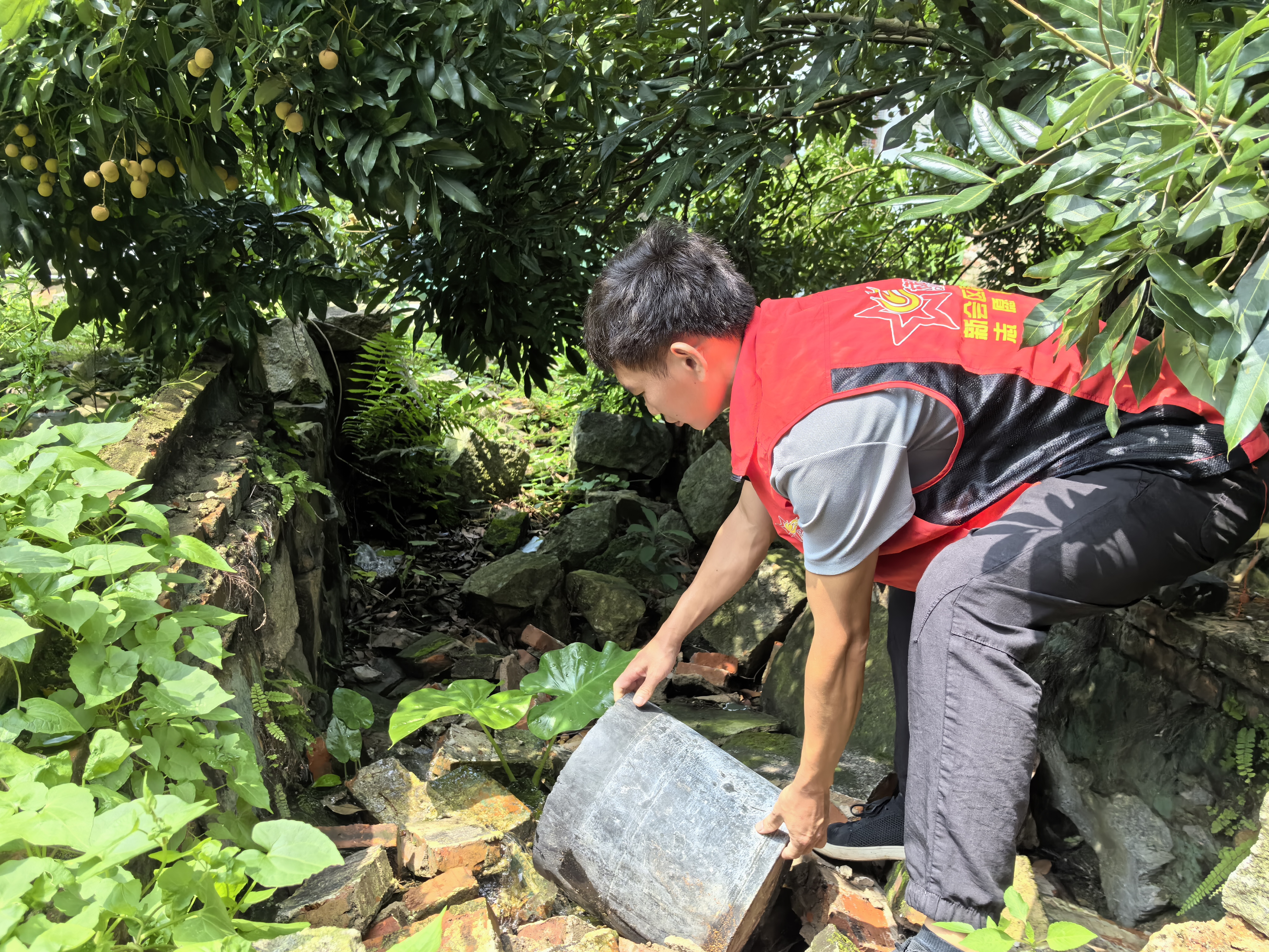 长沙村兵委员张国棠登革热防蚊虫倒积水1.jpg
