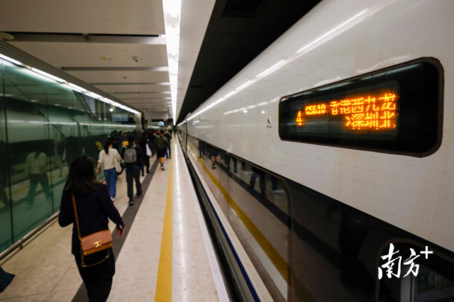高铁出行的便利，让家属可以实现“上午探亲下午返港”，图为广深港高铁。